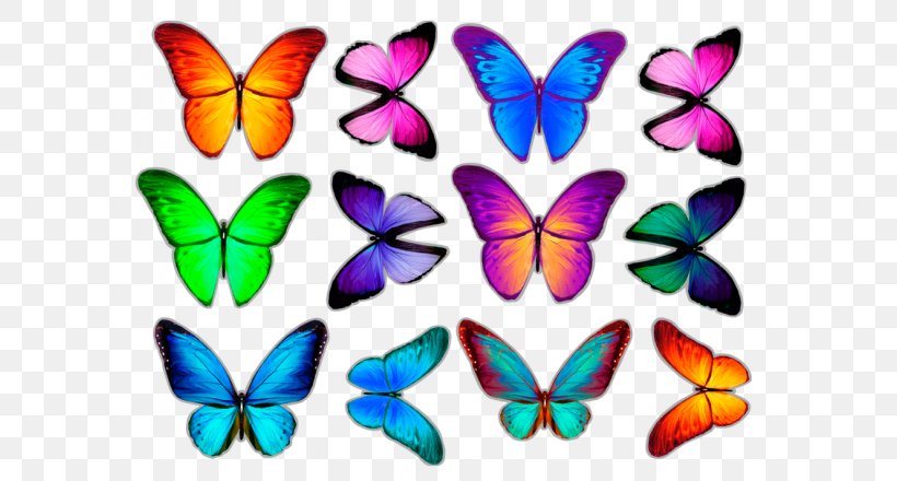 Monarch Butterfly Paper Sticker Clip Art, PNG, 700x440px, Monarch Butterfly, Artwork, Brush Footed Butterfly, Brushfooted Butterflies, Butterflies And Moths Download Free