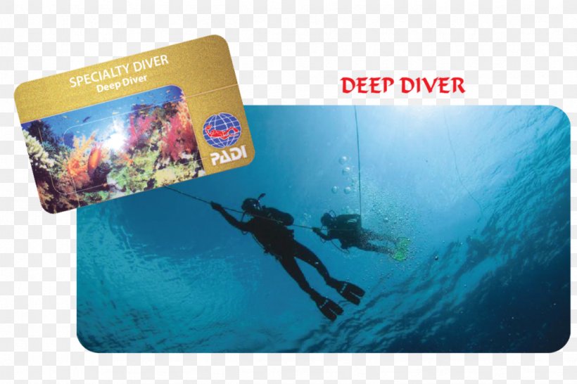 Brand Professional Association Of Diving Instructors, PNG, 1024x682px, Brand Download Free