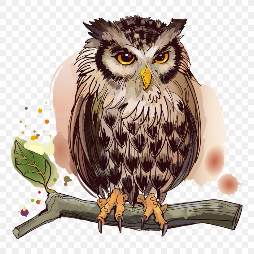 Owl Bird Stock Illustration Illustration, PNG, 1000x1000px, Owl, Beak, Bird, Bird Of Prey, Fauna Download Free