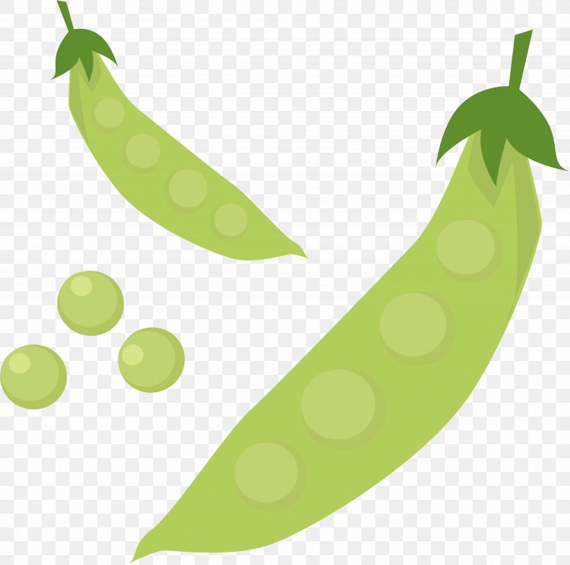 Edible-podded Pea Bean Ervilha Petit Pois Clip Art, PNG, 3840x3816px, Pea, Bean, Budi Daya, Ediblepodded Pea, Ervilha Petit Pois Download Free