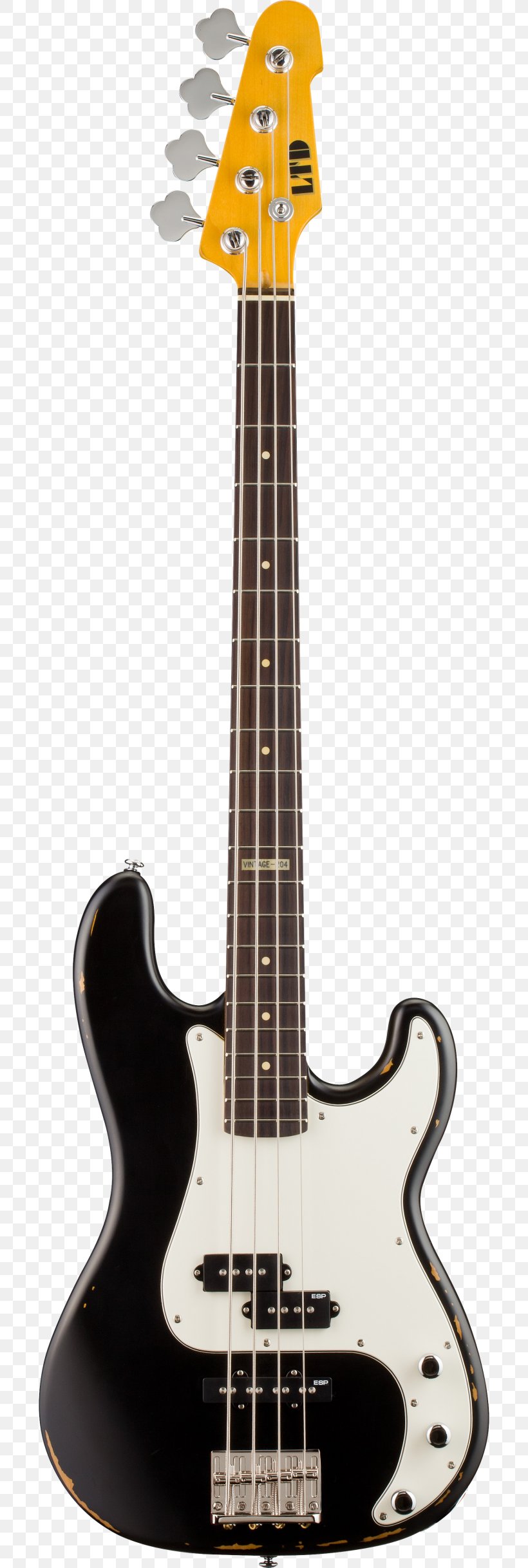 Fender Precision Bass Fender Stratocaster Bass Guitar Fender Jazz Bass Squier, PNG, 700x2435px, Fender Precision Bass, Acoustic Electric Guitar, Acoustic Guitar, Bass Guitar, Bass Violin Download Free