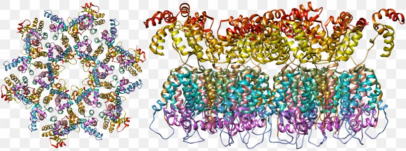 Human Immunodeficiency Virus 1 AIDS HIV Human T-lymphotropic Virus, PNG, 2000x747px, Watercolor, Cartoon, Flower, Frame, Heart Download Free