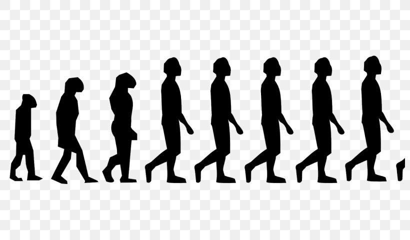 Neandertal Homo Sapiens Human Evolution Early Human Migrations, PNG, 800x480px, Neandertal, Biology, Brand, Charles Darwin, Communication Download Free