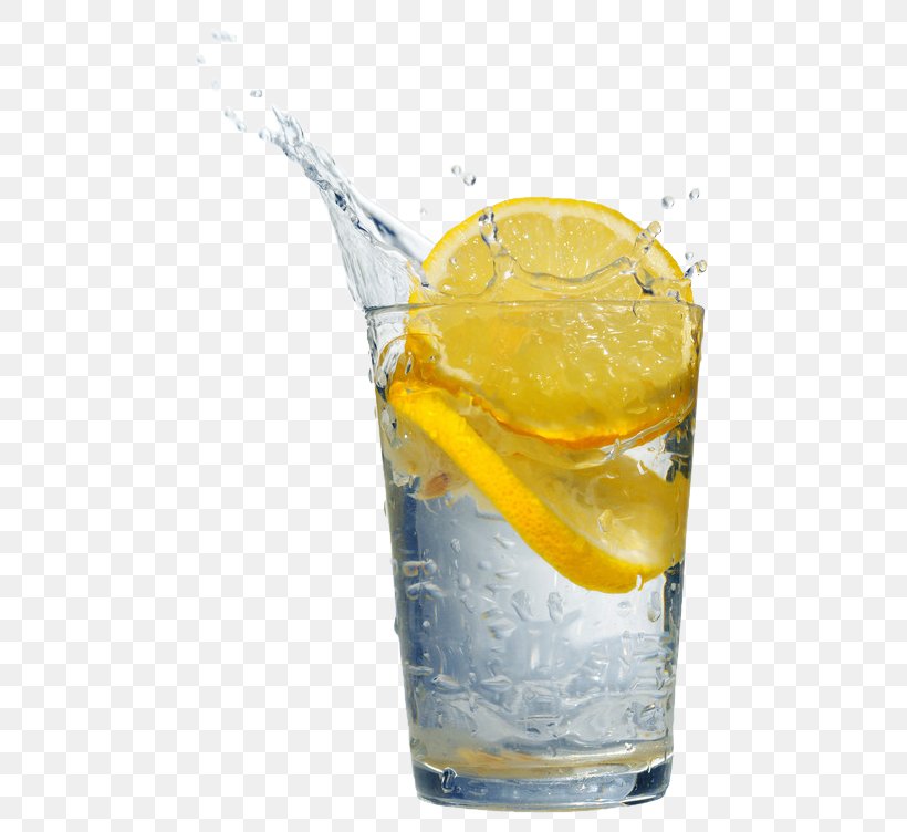 Orange Drink Fizzy Drinks Gin And Tonic Lemon Orange Juice, PNG, 473x752px, Orange Drink, Aguas Frescas, Citric Acid, Cocktail, Cocktail Garnish Download Free