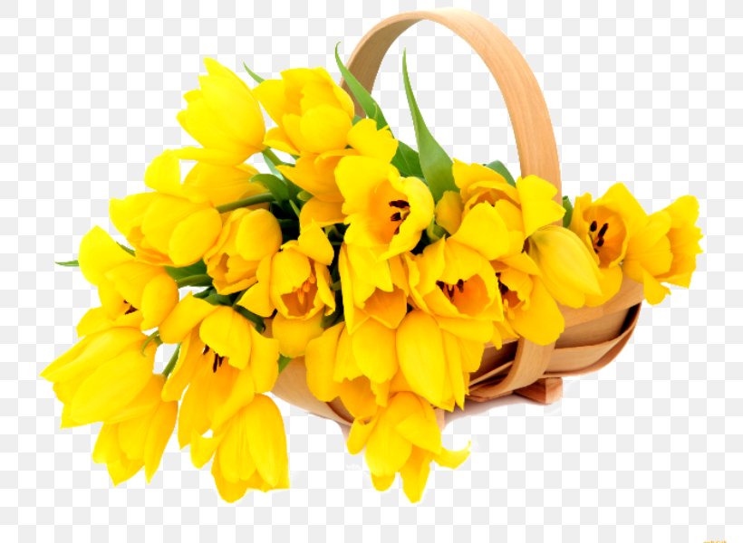 Tulip Cut Flowers Clip Art, PNG, 800x600px, Tulip, Basket, Cut Flowers, Easter Basket, Floral Design Download Free