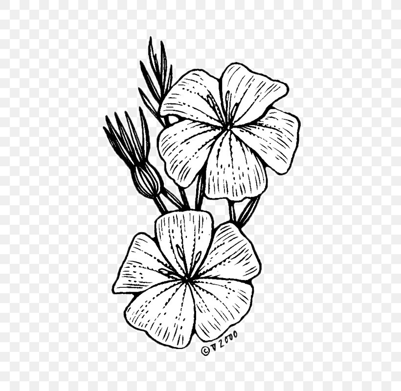 Floral Design /m/02csf Drawing Cut Flowers, PNG, 800x800px, Floral Design, Artwork, Black And White, Cut Flowers, Drawing Download Free
