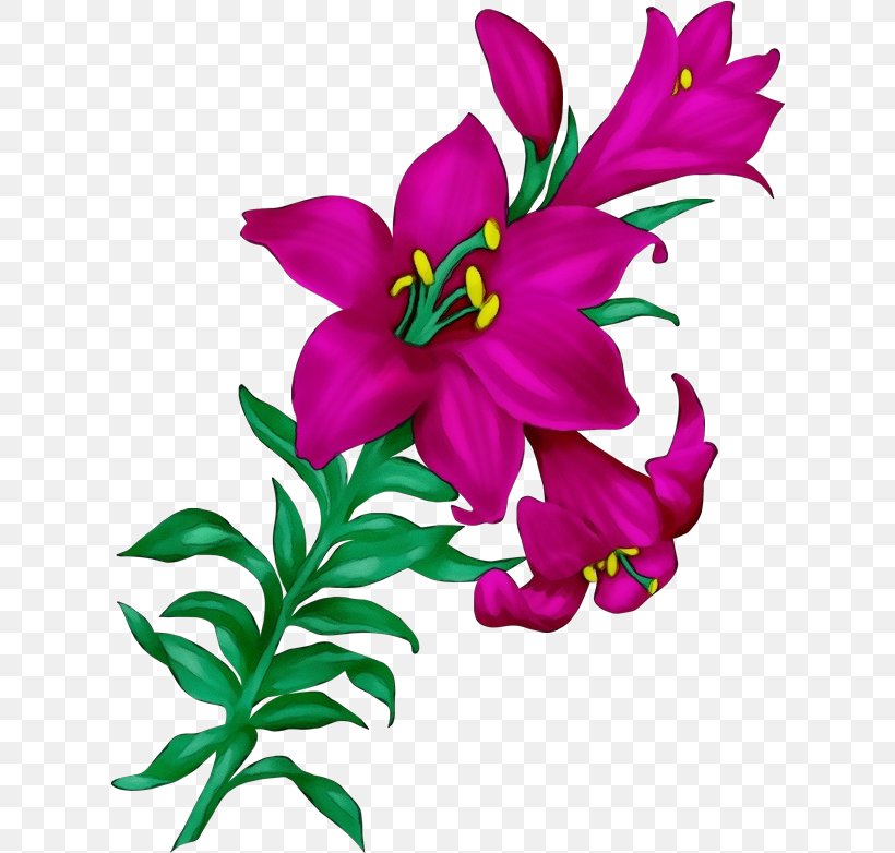 Flower Flowering Plant Petal Plant Pink, PNG, 618x782px, Watercolor, Flower, Flowering Plant, Lily, Paint Download Free