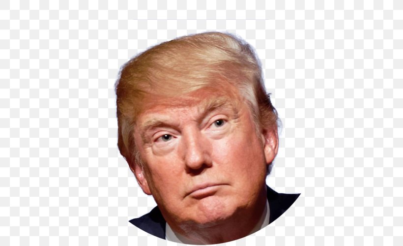 Presidency Of Donald Trump President Of The United States US Presidential Election 2016, PNG, 500x500px, Donald Trump, Cheek, Chin, Close Up, Ear Download Free