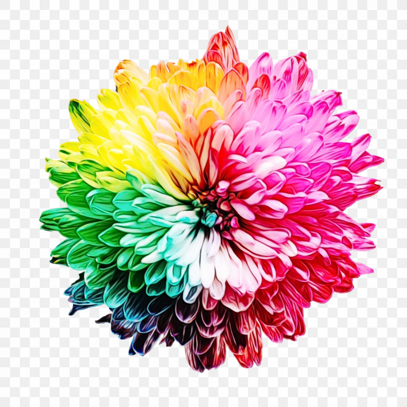 Rose, PNG, 1200x1200px, Watercolor, Color, Color Blindness, Color Vision, Cut Flowers Download Free
