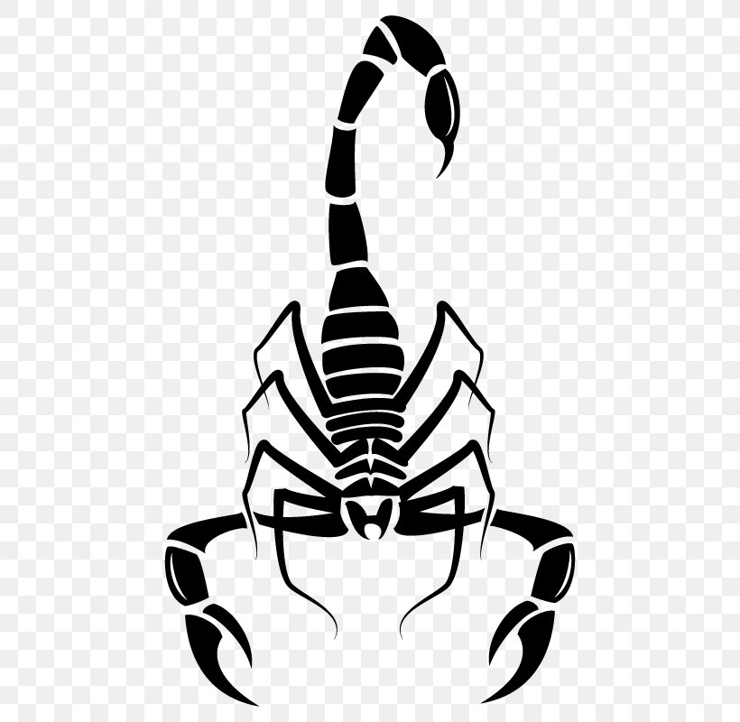 Scorpion Euclidean Vector Download, PNG, 800x800px, Scorpion, Arachnid ...