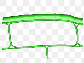 Cell Wall Images Cell Wall Transparent Png Free Download