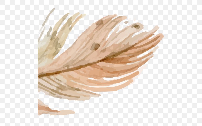 Feather Drawing ATHANASIOS KOROMILAS ENT OFFICE KALAMATA Watercolor Painting, PNG, 512x512px, Feather, Art, Bird, Color, Drawing Download Free