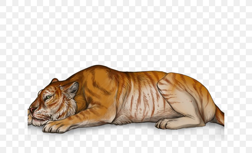 Golden Tiger Lion Tigon Cat, PNG, 640x500px, Watercolor, Cartoon, Flower, Frame, Heart Download Free