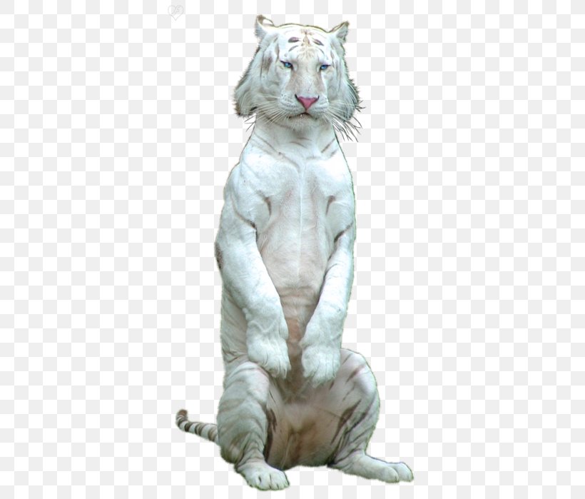 Tiger Lion Cat Clip Art, PNG, 368x699px, Tiger, Animal, Big Cats, Carnivoran, Carnivores Download Free
