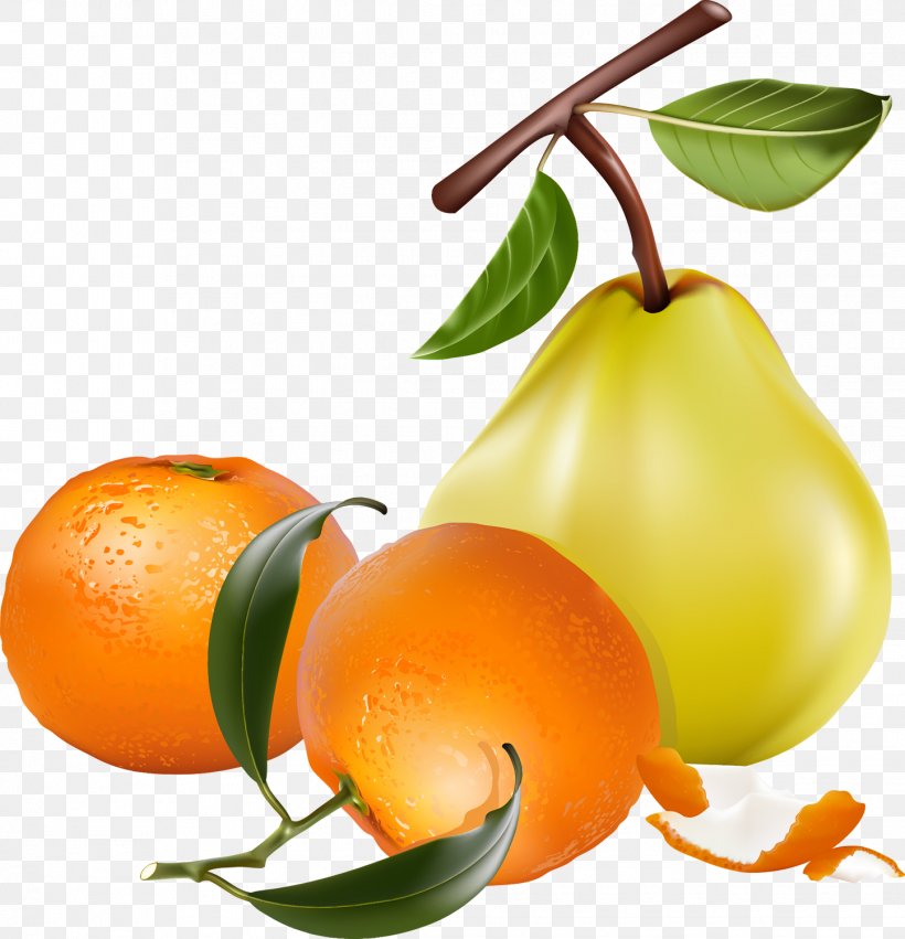 Pear Fruit Desktop Wallpaper Clip Art, PNG, 1445x1500px, Pear, Auglis, Bitter Orange, Calamondin, Chenpi Download Free