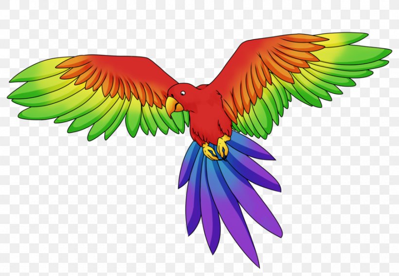 Budgerigar Parrot Macaw Rainbow Lorikeet Parakeet, PNG, 900x623px, Budgerigar, Beak, Bird, Common Pet Parakeet, Drawing Download Free