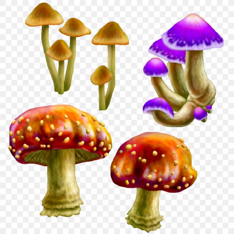 Edible Mushroom Fungus Mycelium Clip Art, PNG, 894x894px, Mushroom, Art, Artist, Deviantart, Edible Mushroom Download Free