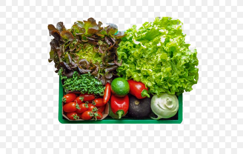 Leaf Vegetable Food Vegetarian Cuisine Zucchini, PNG, 520x520px, Leaf Vegetable, Carrot, Diet, Diet Food, Dish Download Free
