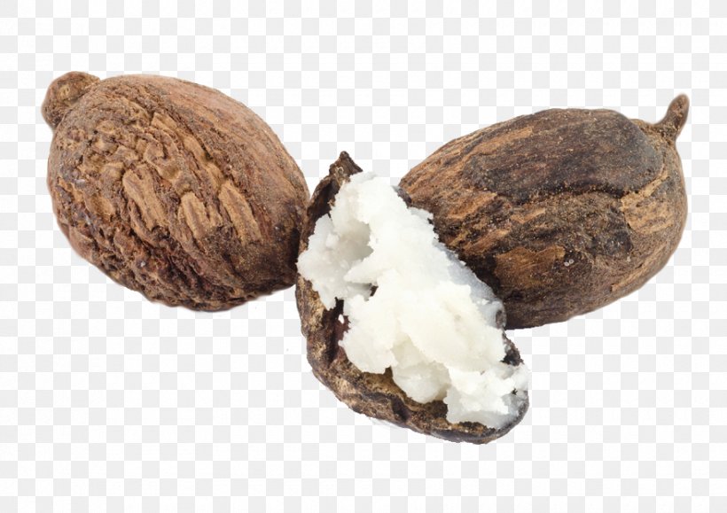 Shea Butter Vitellaria Nut Goat Milk, PNG, 880x622px, Shea Butter, Butter, Commodity, Cosmetics, Essential Oil Download Free