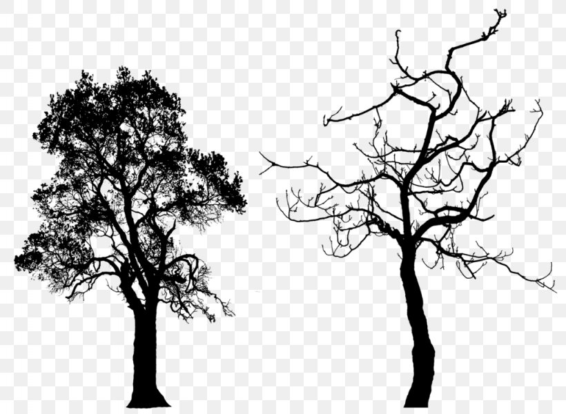 Tree Silhouette Clip Art, PNG, 1024x750px, Tree, Arecaceae, Art, Black And White, Branch Download Free