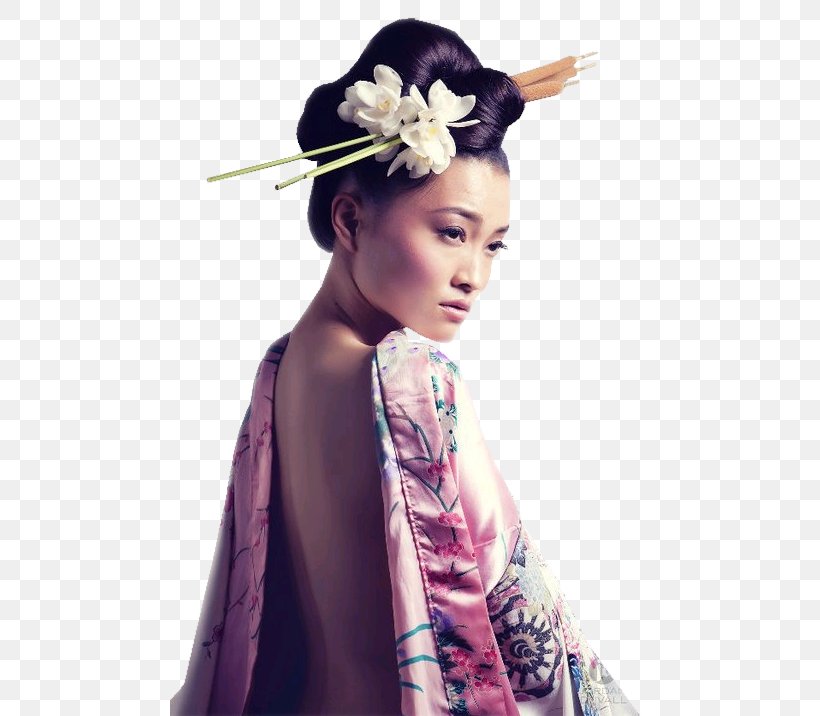 Fiona Graham Memoirs Of A Geisha Photography Photographer, PNG, 480x716px, Memoirs Of A Geisha, Costume, Costume Design, Fashion, Fashion Model Download Free