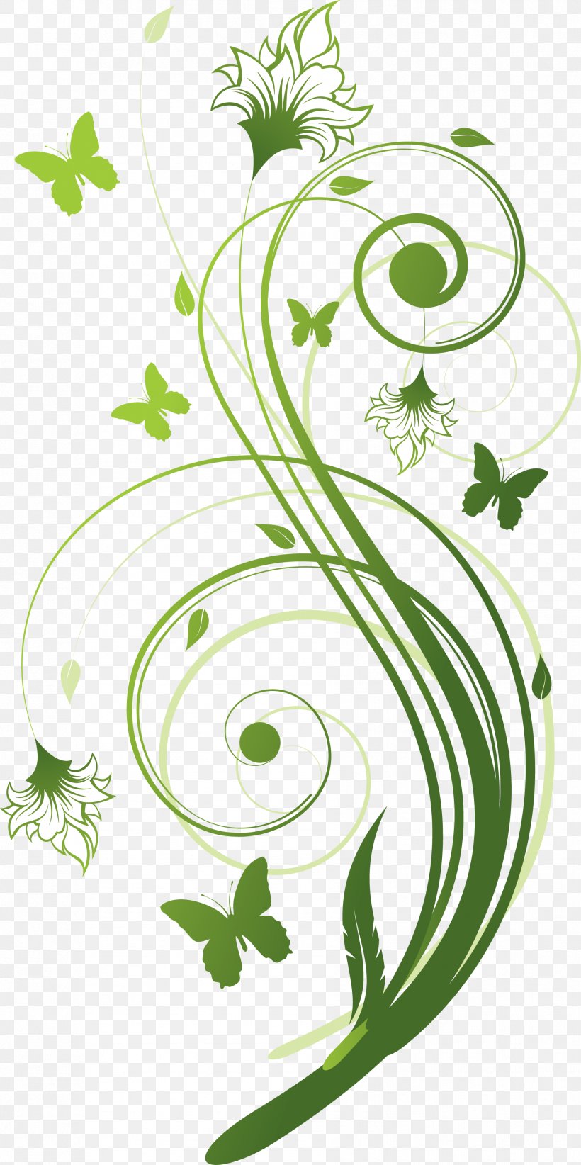 Flower Stock Photography Floral Design Green, PNG, 1782x3573px, Flower, Artwork, Branch, Color, Decorative Arts Download Free