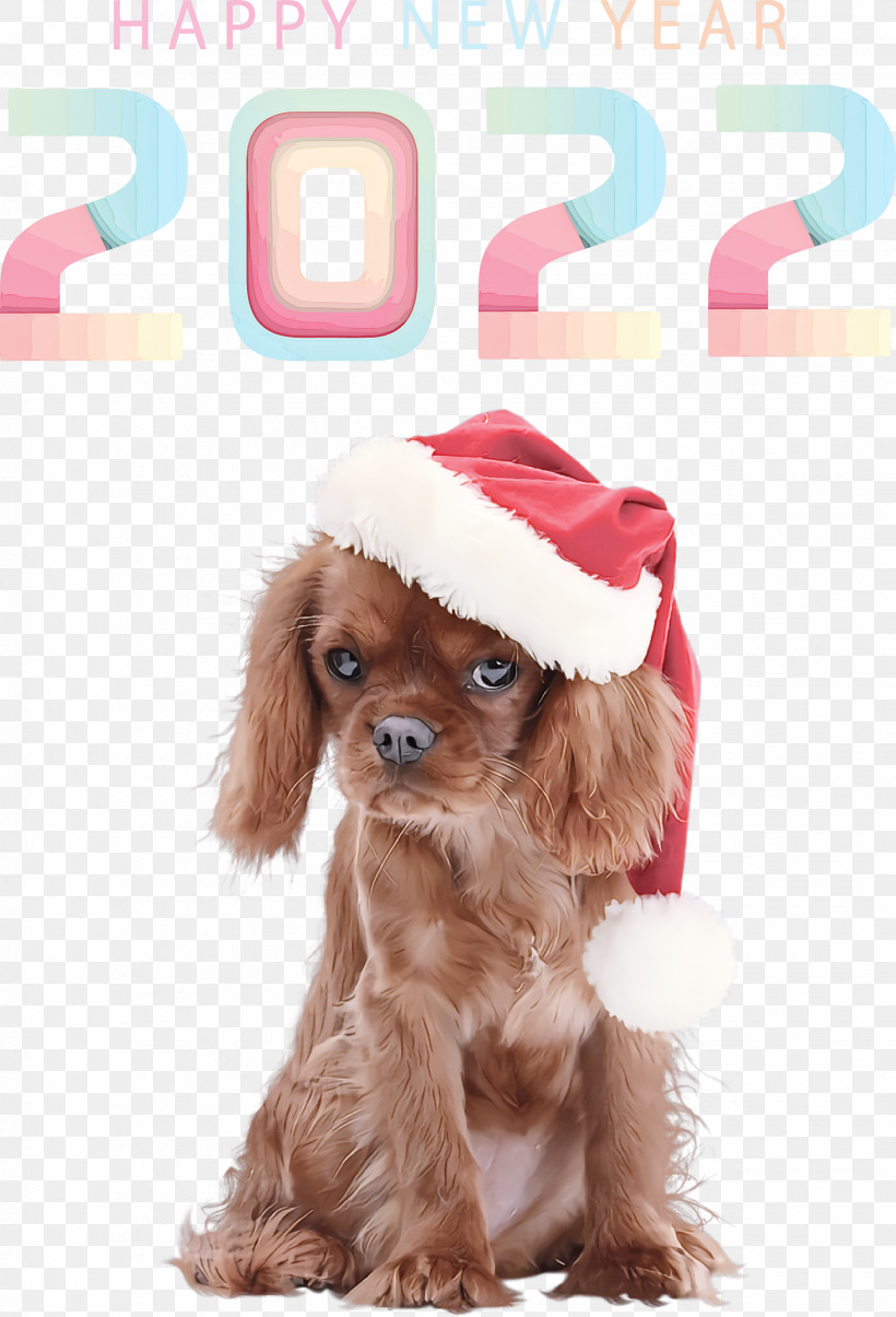 Happy 2022 New Year 2022 New Year 2022, PNG, 2040x3000px, Cockapoo, Bernese Mountain Dog, Cavalier King Charles Spaniel, Cavapoo, Companion Dog Download Free