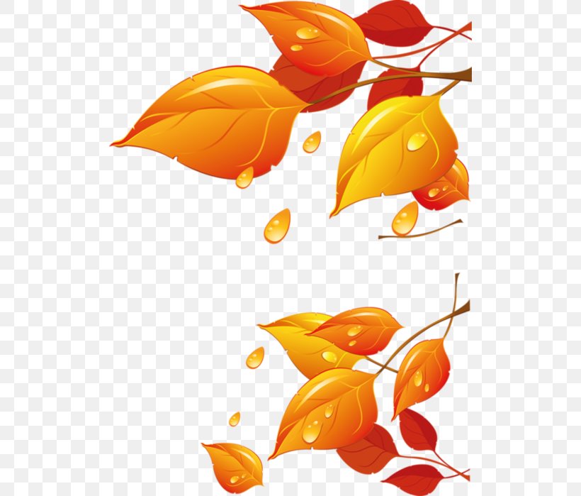 Vector Graphics Clip Art Image Raster Graphics, PNG, 512x699px, Raster Graphics, Autumn, Computer Graphics, Fish, Flower Download Free