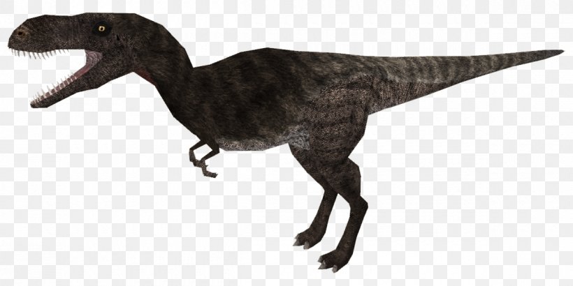 Velociraptor Tyrannosaurus Extinction Animal, PNG, 1200x600px, Velociraptor, Animal, Animal Figure, Beak, Dinosaur Download Free