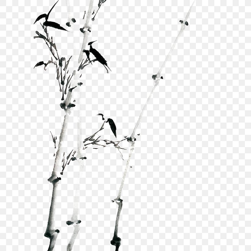 Bamboo Ink Wash Painting Chinese Painting, PNG, 600x819px, Bamboo, Art, Beak, Bird, Black And White Download Free