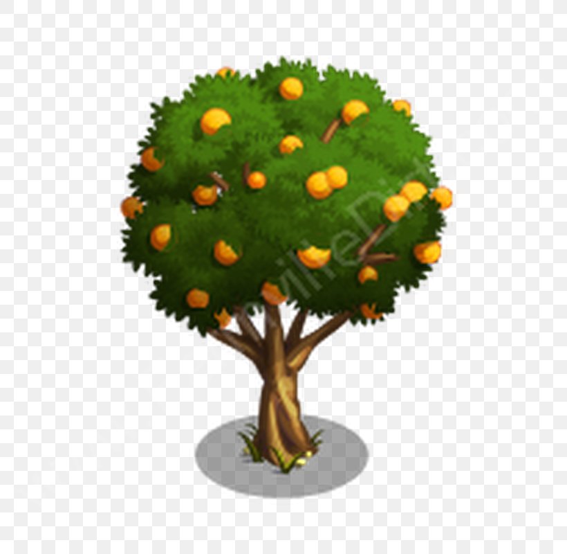 Fruit Tree Shrub Flowerpot Presentation, PNG, 800x800px, Tree, Com, Flower, Flowerpot, Fruit Tree Download Free