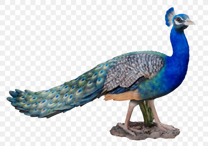 Peafowl Feather Cobalt Blue Fauna, PNG, 4380x3086px, Peafowl, Animal Figure, Beak, Bird, Blue Download Free