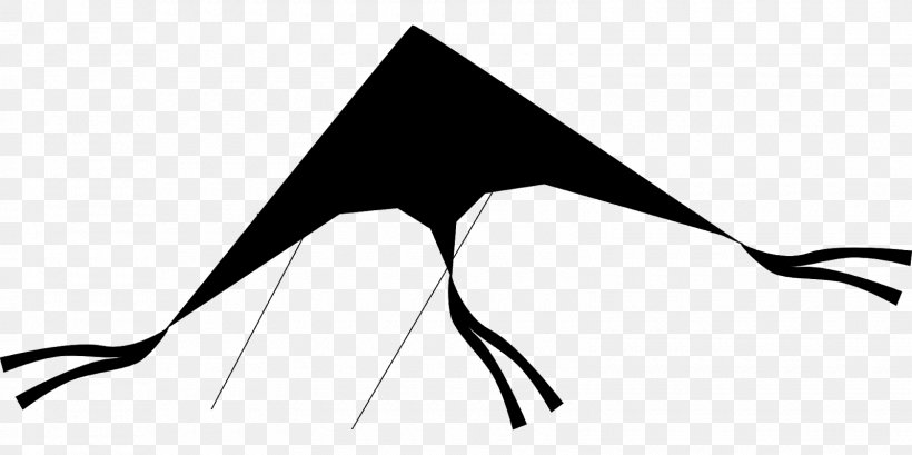 Triangle Mammal Shoe Clip Art, PNG, 1600x800px, Triangle, Art, Beak, Black, Black M Download Free