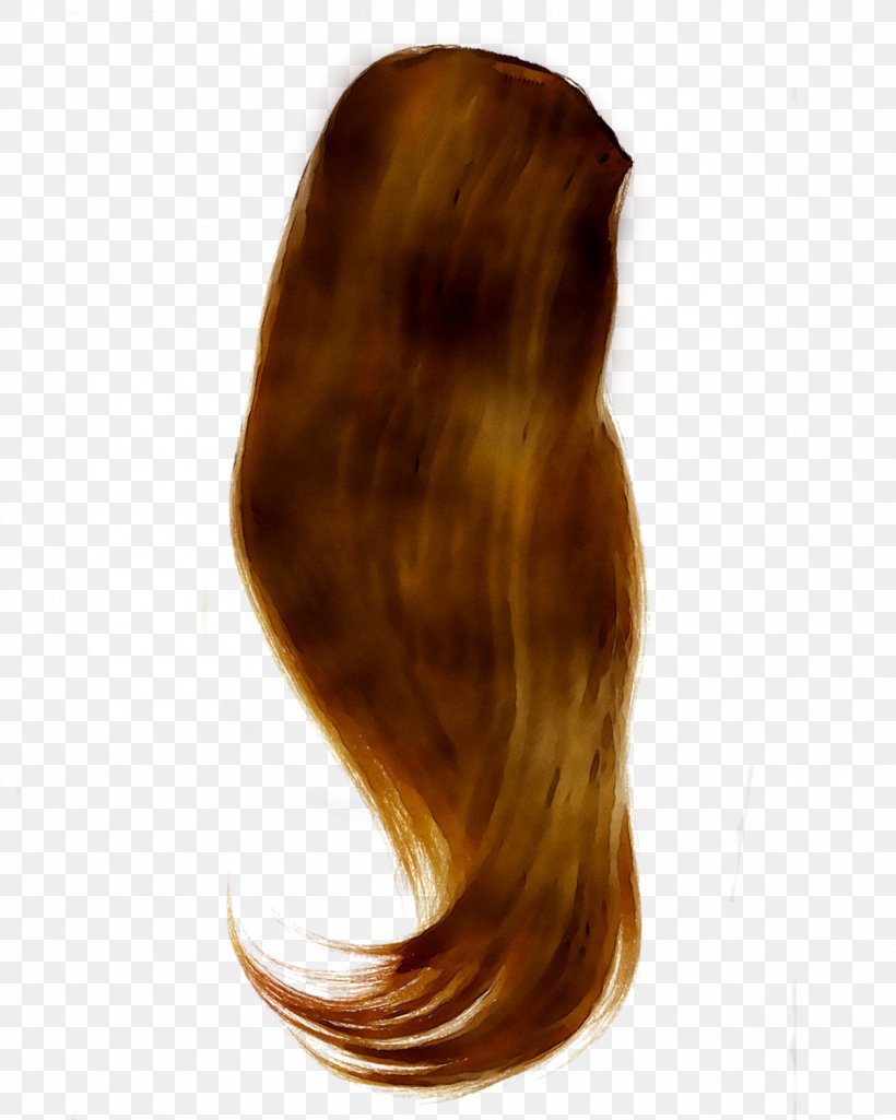 Hair Coloring Layered Hair Long Hair Brown Hair, PNG, 1259x1574px, Hair, Artificial Hair Integrations, Black Hair, Blond, Brown Download Free