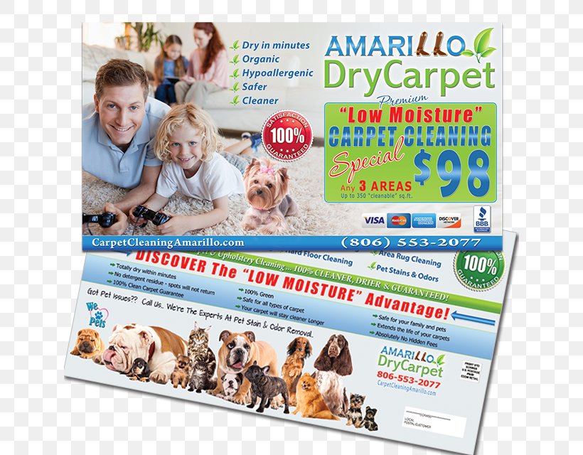 Amarillo DryCarpet Services Product Dry Carpet Cleaning Advertising, PNG, 640x640px, Dry Carpet Cleaning, Advertising, Amarillo, Business, Carpet Download Free