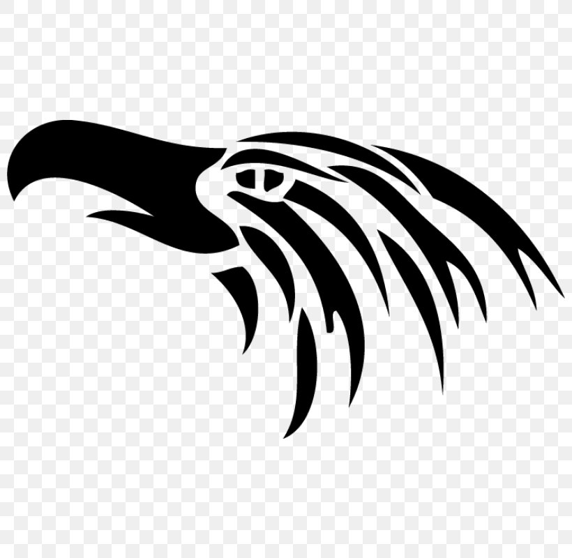 Bald Eagle Clip Art, PNG, 800x800px, Bald Eagle, Art, Beak, Bird, Bird Of Prey Download Free