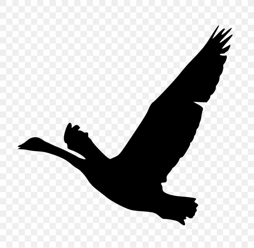 Bird Goose Silhouette Duck Clip Art, PNG, 1048x1024px, Bird, Art, Beak, Bird Of Prey, Black And White Download Free