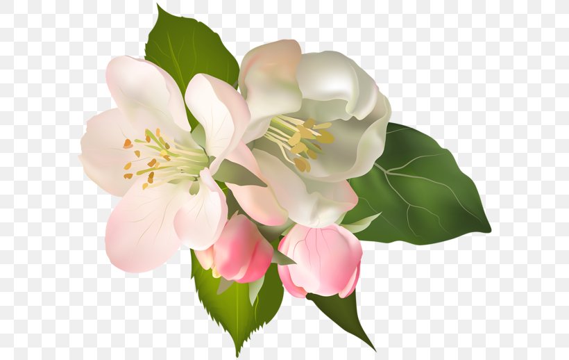 Blossom Floral Design Flower Clip Art, PNG, 600x518px, Blossom, Art, Branch, Cut Flowers, Floral Design Download Free