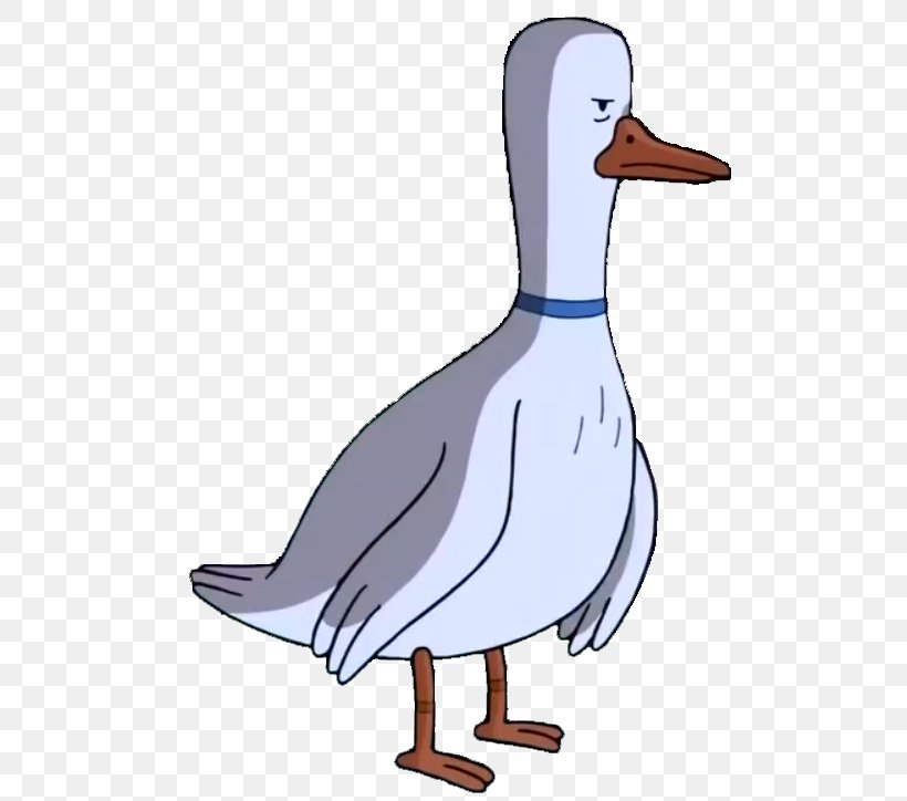 Domestic Goose Boobafina Duck Mallard, PNG, 513x724px, Goose, Adventure Time, Beak, Bird, Boobafina Download Free