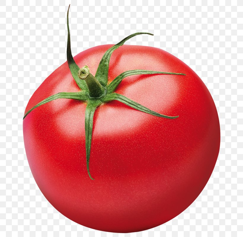 Plum Tomato Vegetable Bush Tomato Ketchup, PNG, 800x800px, Plum Tomato, Bush Tomato, Cherry Tomatoes, Flowering Plant, Food Download Free