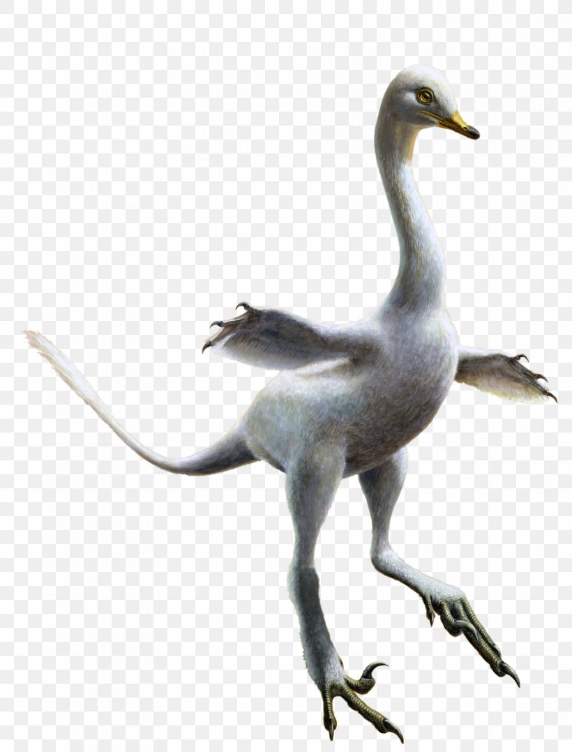 Velociraptor Halszkaraptor Reptile Dinosaur Penguin, PNG, 912x1200px, Velociraptor, Artist, Beak, Bird, Crane Download Free