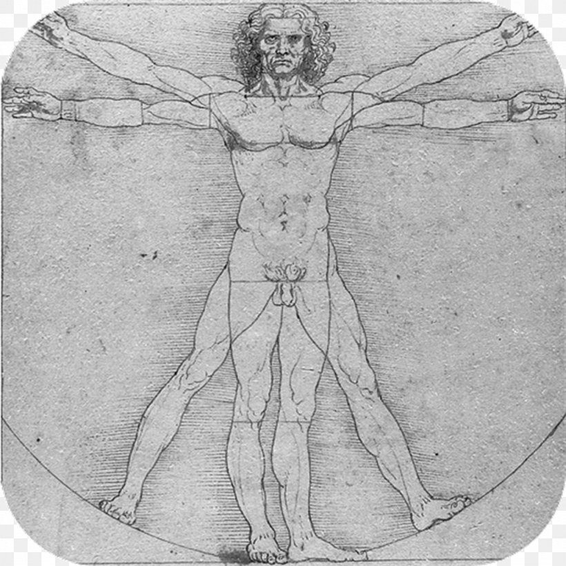 Vitruvian Man Anatomical Drawings Anatomy Human Body, PNG, 1024x1024px