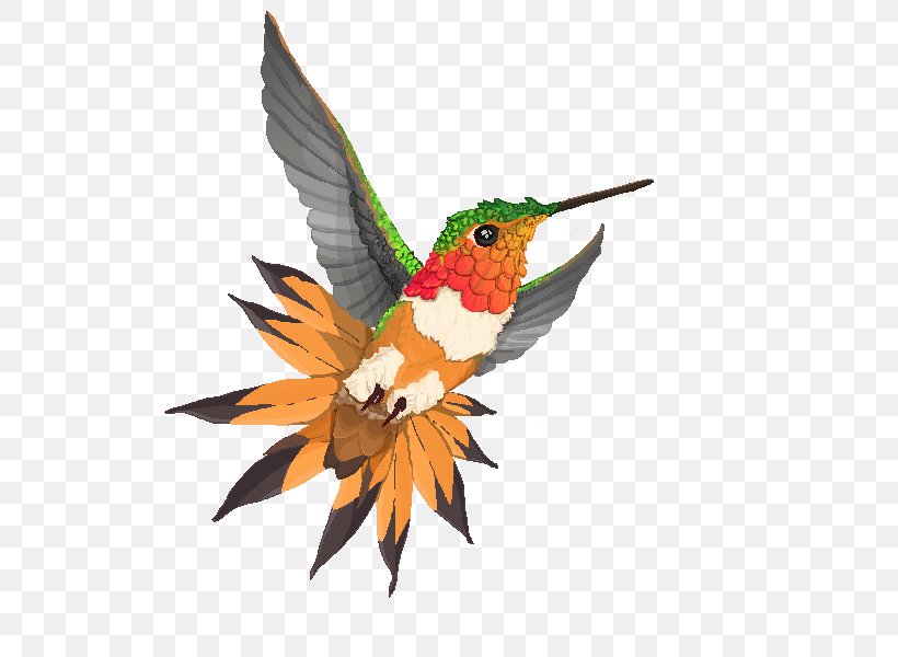 Hummingbird M Beak Wing Feather, PNG, 600x600px, Hummingbird, Beak, Bird, Fauna, Feather Download Free