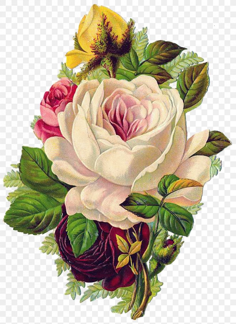 Centifolia Roses Vintage Clothing Flower, PNG, 1166x1600px, Centifolia Roses, Artificial Flower, Cut Flowers, Floral Design, Floristry Download Free