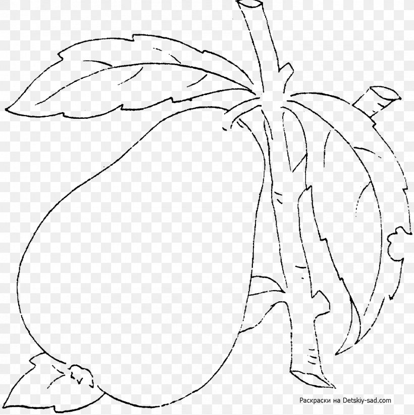 European Pear Drawing Asian Pear Coloring Book Fruit, PNG, 1483x1485px, Watercolor, Cartoon, Flower, Frame, Heart Download Free