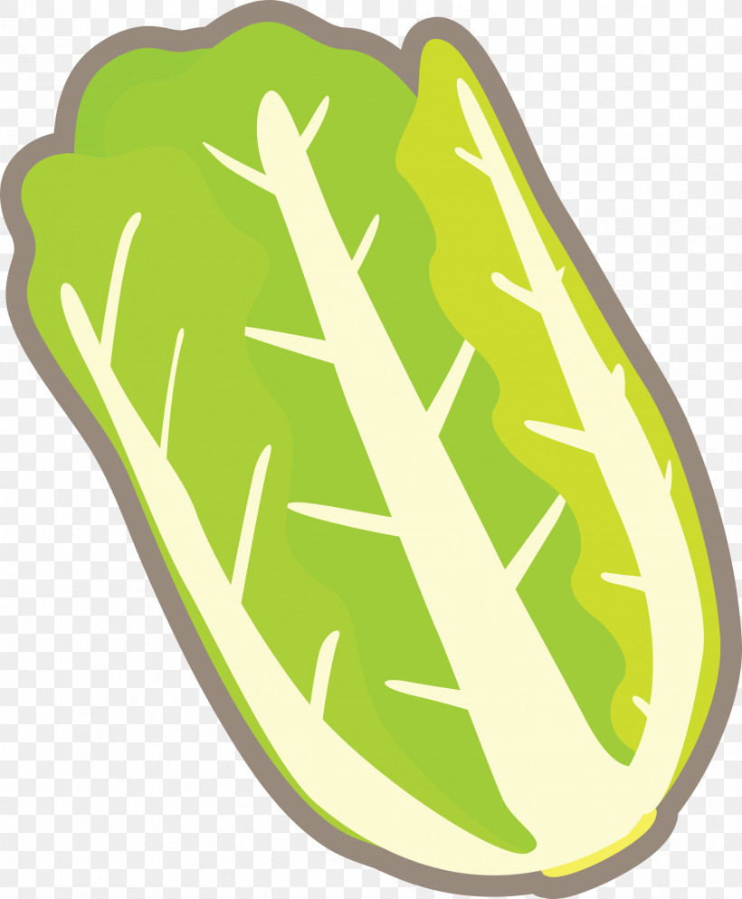 Nappa Cabbage, PNG, 2475x3000px, Nappa Cabbage, Green, Leaf, Plant Download Free