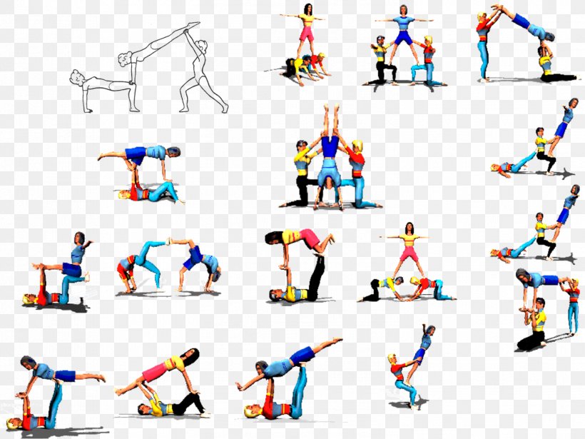 Physical Education Teacher Acrobatic Gymnastics ESO, PNG, 1502x1127px, Physical Education, Acrobatic Gymnastics, Acrobatics, Animal Figure, Area Download Free