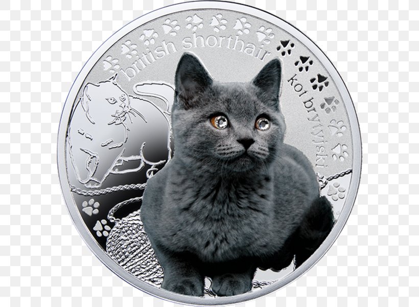 Chartreux British Shorthair Russian Blue Korat Nebelung, PNG, 600x600px, Chartreux, Asian, Bengal Cat, Black And White, Black Cat Download Free