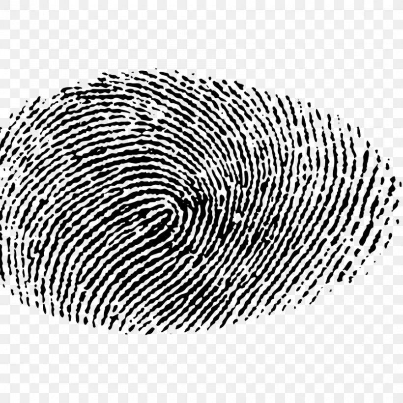 Przestępca Zostawia ślad Materiał Genetyczny Fingerprint Genetics Brush, PNG, 894x894px, Fingerprint, Black And White, Brush, Computer Font, Deviantart Download Free