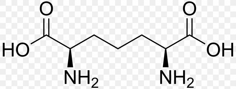 Amino Acid Glutaconic Acid Carboxylic Acid Aspartic Acid, PNG, 1540x583px, Acid, Alanine, Amino Acid, Area, Ascorbic Acid Download Free